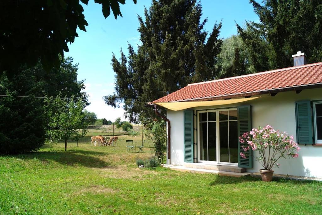Idylisches Cottage Mit Reh فورتزيه المظهر الخارجي الصورة